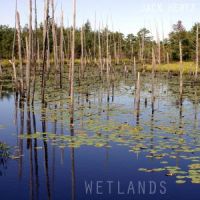 Wetlands by Jack Hertz